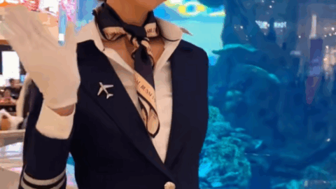 AirLadyJet.com Is Now Live! Welcome to the Official Fan Network for Air Lady Jet Arina